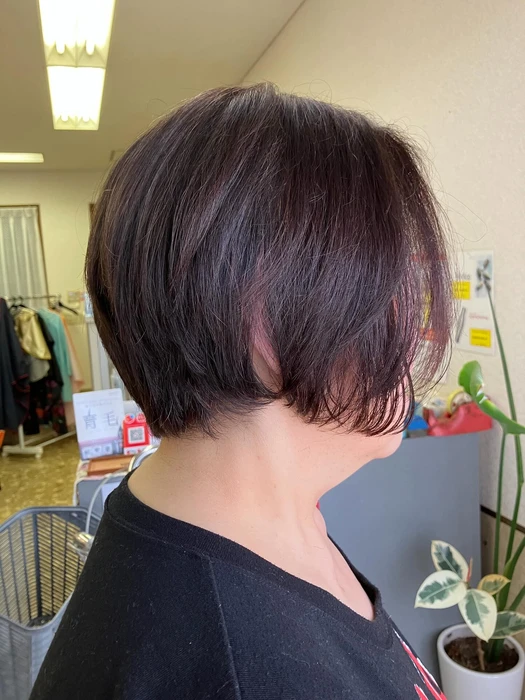 画像267